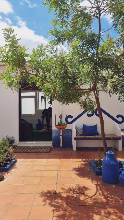 Quintinha Do Sal - Casa Das Flores Alcácer do Sal Eksteriør billede