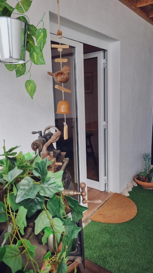 Quintinha Do Sal - Casa Das Flores Alcácer do Sal Eksteriør billede