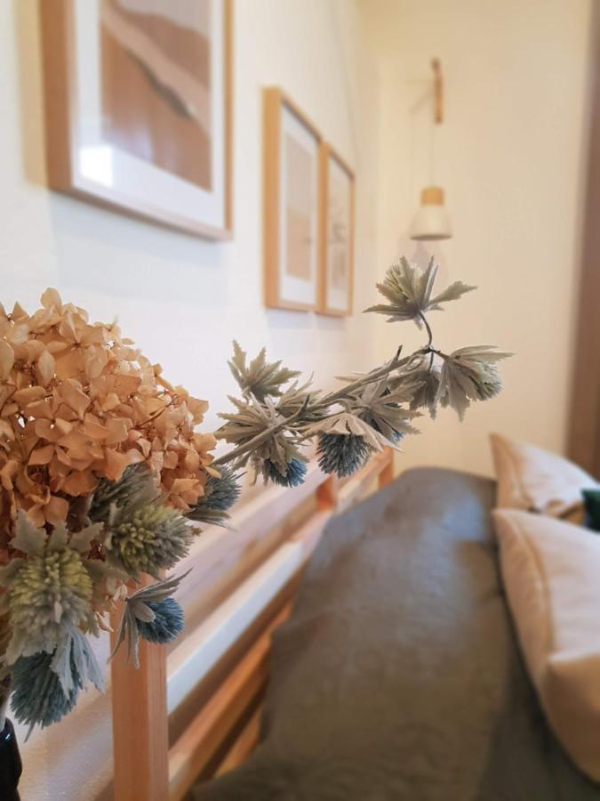 Quintinha Do Sal - Casa Das Flores Alcácer do Sal Eksteriør billede