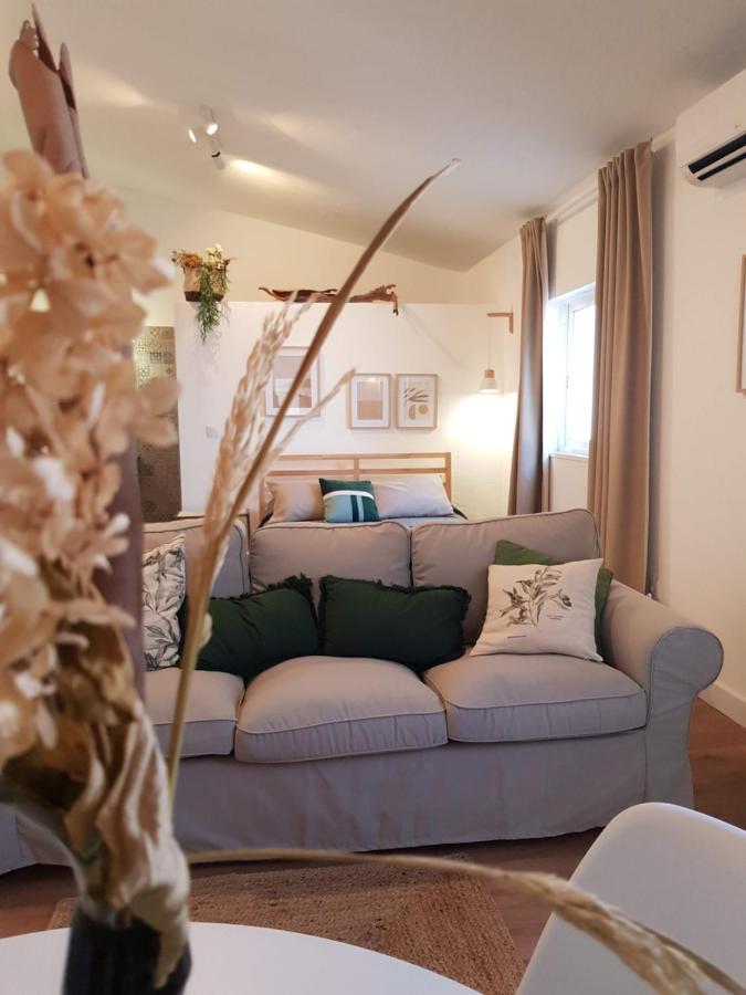 Quintinha Do Sal - Casa Das Flores Alcácer do Sal Eksteriør billede